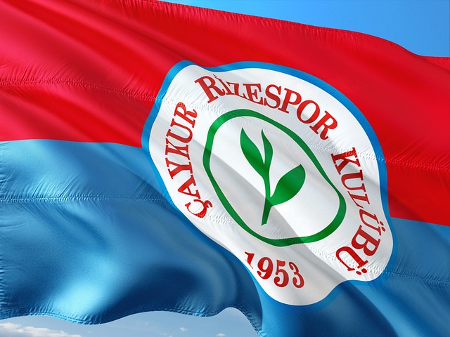 邵佳一历史专访：无法确定未来怎样，首先保证积极、健康、努力的心态