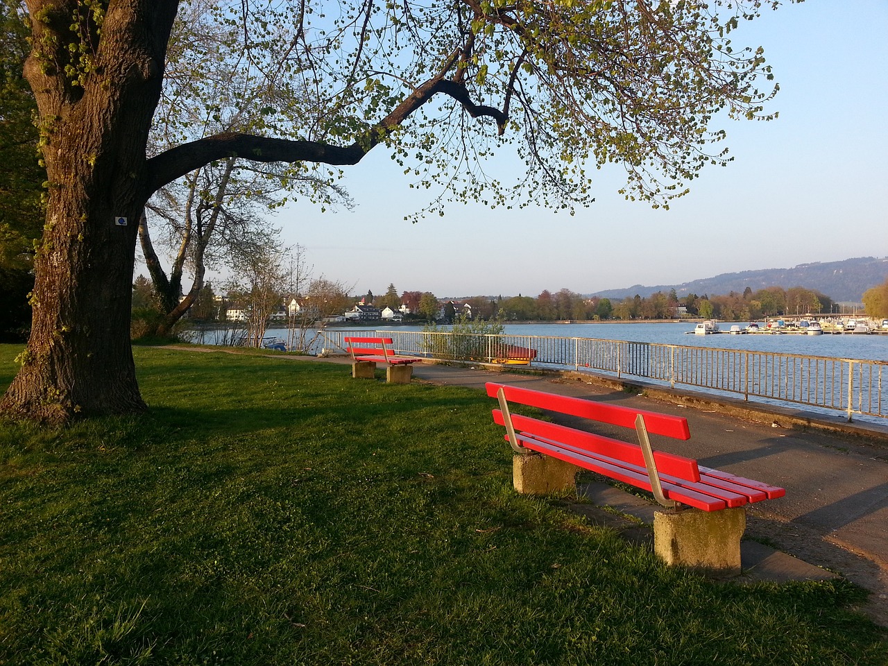 官宣！直播吧成为浙江广厦篮球俱乐部官方媒体合作伙伴！