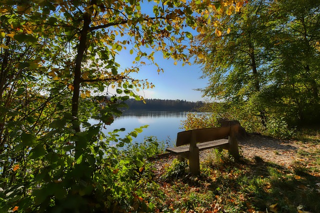 曼联教练席对西汉姆的愤怒反应意味深长