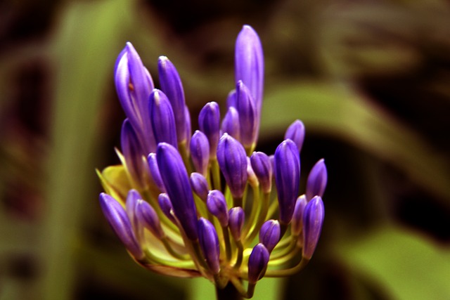 不单是技巧 不单是技巧