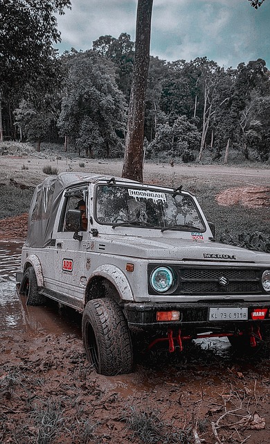 此次会议不 此次会议不