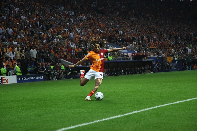 续推进的 续推进的