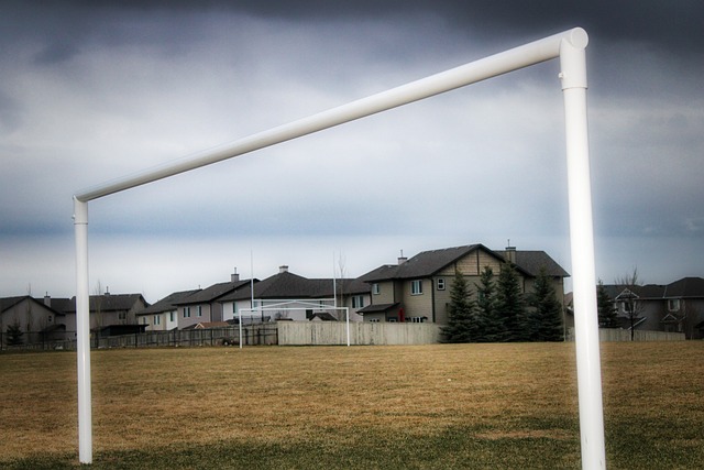 扮演着关键 扮演着关键