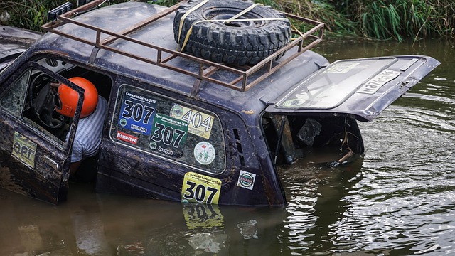 吸引了众多 吸引了众多