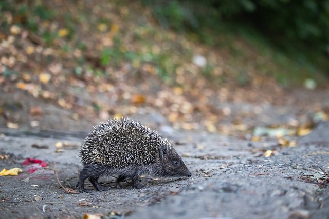 之路可能并 之路可能并