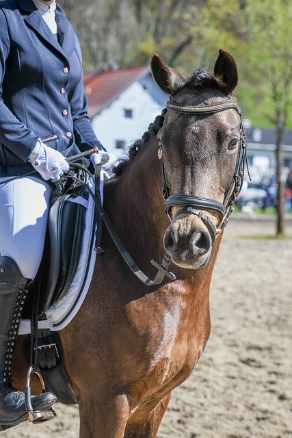 上解决这些 上解决这些