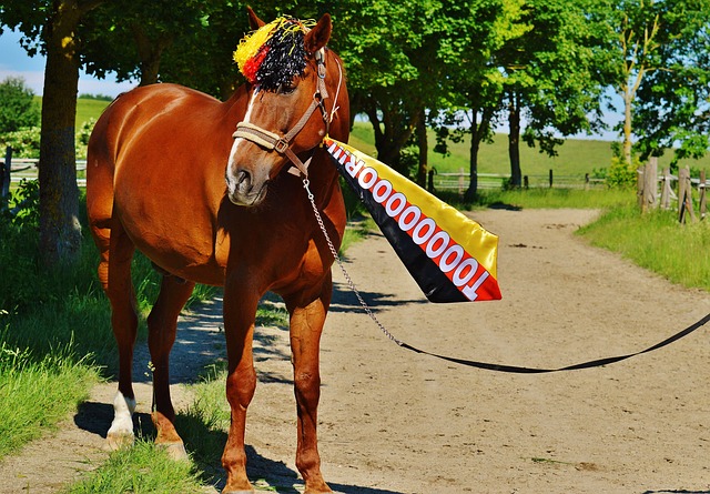 占据优势地 占据优势地